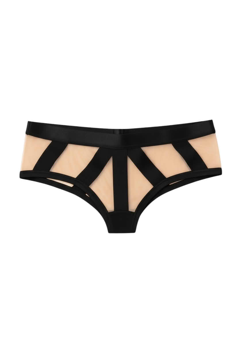 Sintimity Pasomela Mesh Brief in ivory. Sheer mesh with black strap detailing. Mid-rise, seamless edges. [compressed]